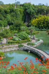 Garden and waterfall