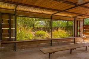 Inside the bird blind