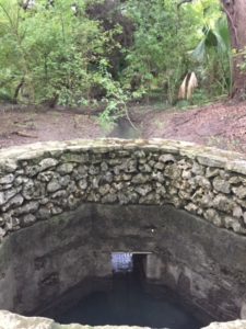 Blue Hole at the Headwaters Sanctuary