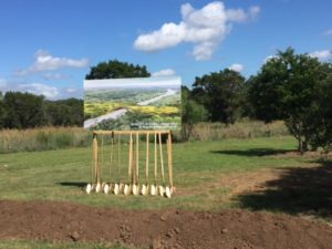 Land Bridge illustration