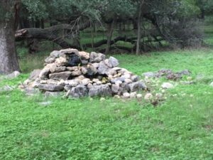 Bird Water Feature at Hardberger Park East