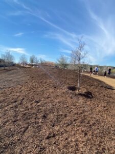 Top of the Land Bridge